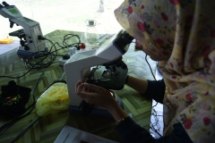 37224051_2004121003231354_6648901122746482688_o_2004120996564688