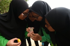 37225254_2004126999897421_8740388288516325376_o_2004126993230755