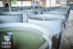 22382515_1856624811314308_1083836697322587830_o_1856624811314308