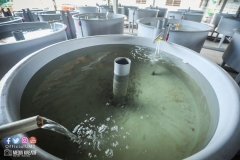 22384128_1856624771314312_4322826248776181236_o_1856624771314312