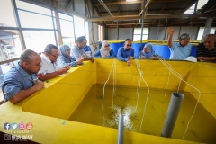 22384188_1856624494647673_3287665097676875364_o_1856624494647673