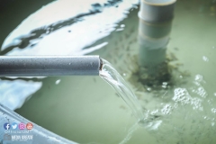 22384225_1856624297981026_8754406654371095505_o_1856624297981026