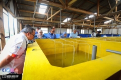 22424295_1856624837980972_5484552764165450830_o_1856624837980972