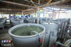 22424381_1856625151314274_4065896567683970078_o_1856625151314274