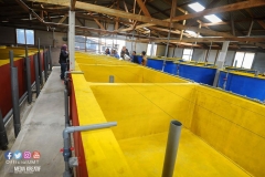 22424386_1856624454647677_4210503635000787800_o_1856624454647677