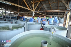 22424415_1856625031314286_401747644745559864_o_1856625031314286