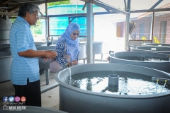 22426261_1856625141314275_610706966210213917_o_1856625141314275