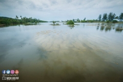 22426414_1856624394647683_2705915035142342901_o_1856624394647683