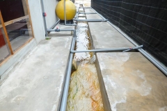 22467668_1856624777980978_8582043269480494968_o_1856624777980978