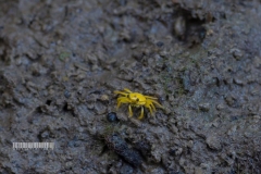 12238150_1523117111331748_9057025012648272517_o_1523117111331748